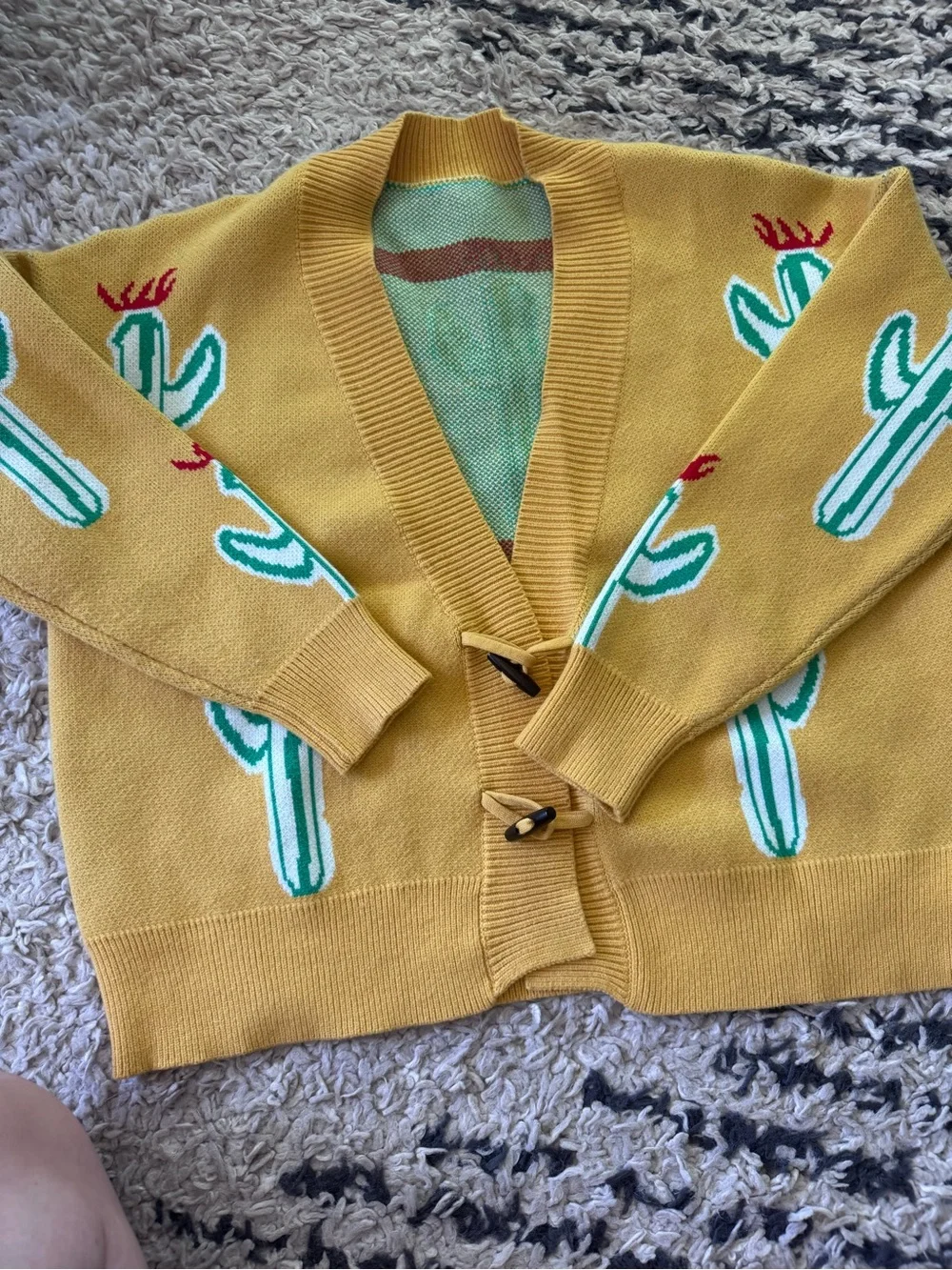 Matching Pet and Person cactus sweaters
